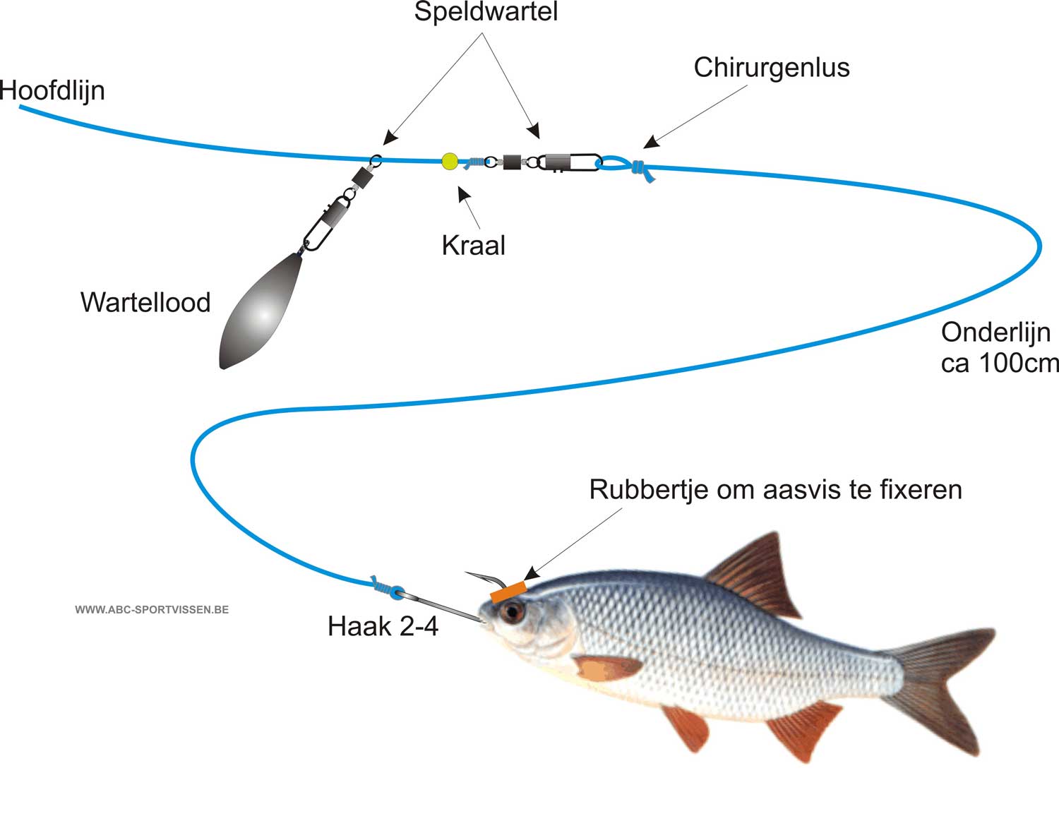 Individualiteit Moment Pionier BelangenVereniging SnoekbaarsVissers (BVSV) - Vissen met bodemlood